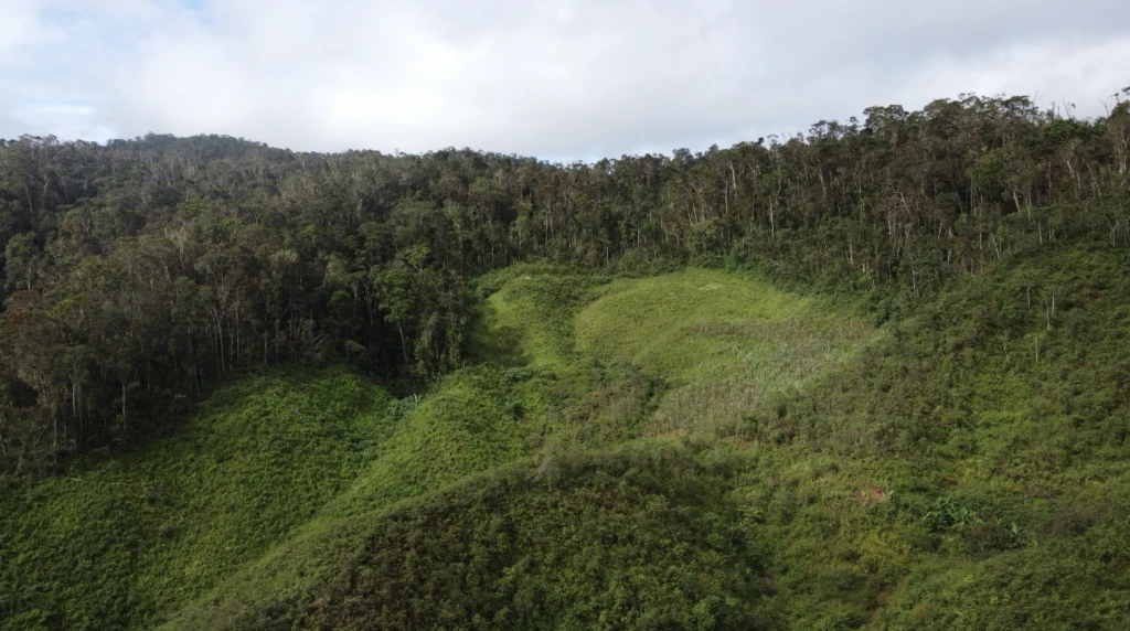 Jigsaw Finance partners with Evertreen to plant a tree for every deal